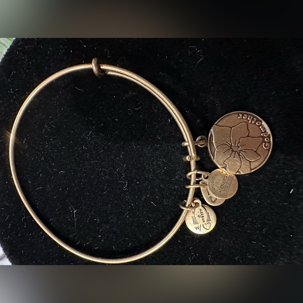 Alex and Ani Gold Expandable Charm Bracelet
